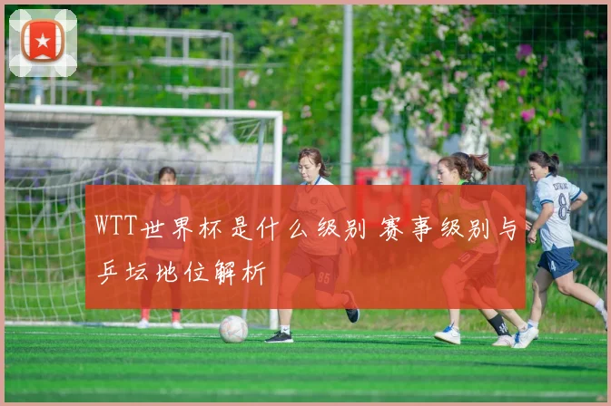 WTT世界杯是什么级别 赛事级别与乒坛地位解析