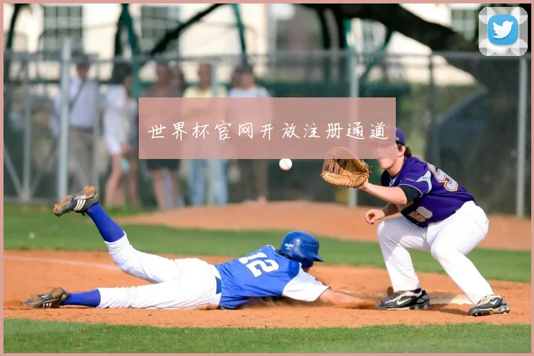 世界杯官网开放注册通道